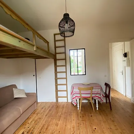 Pretty Cocoon With Two Balconies 公寓
