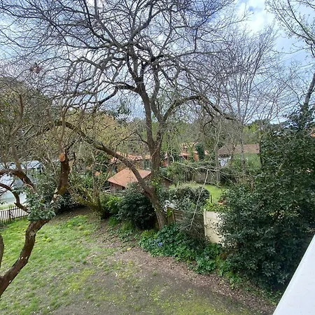 아파트 Pretty Cocoon With Two Balconies 아르카숑